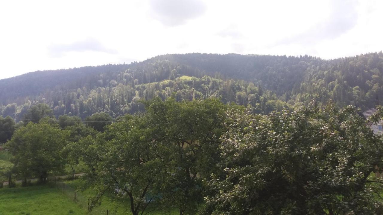 Nota Bene Mykulychyn Villa Bagian luar foto